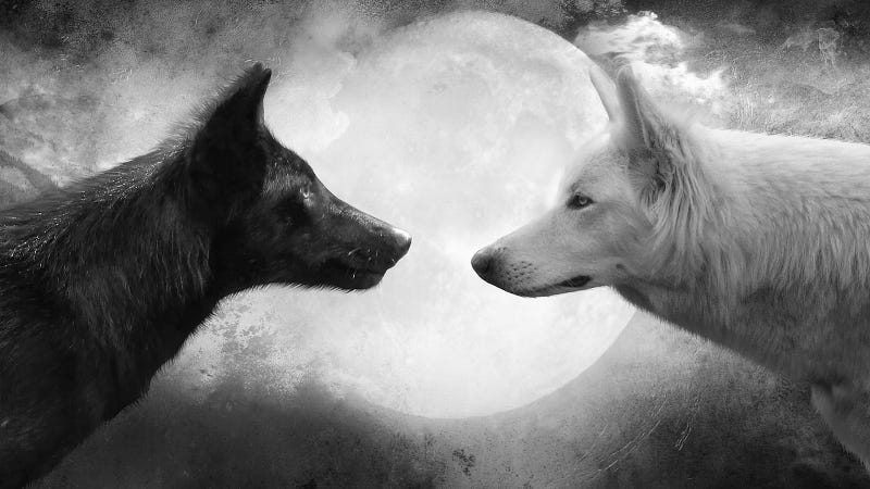 image of two wolves... rraaaghhh